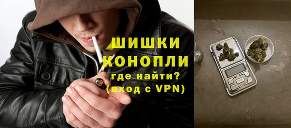 прущие грибы Дмитриев