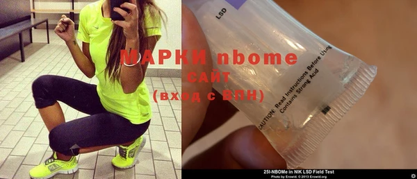 прущие грибы Дмитриев