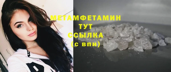 прущие грибы Дмитриев