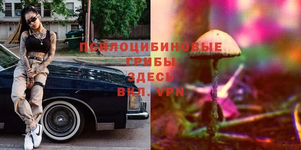 гидропоника Дмитров
