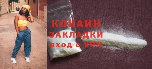 прущие грибы Дмитриев