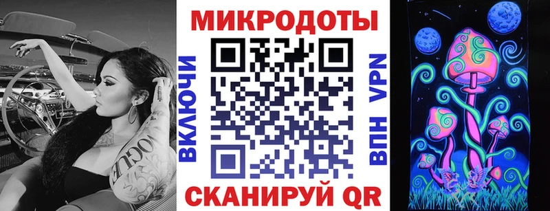 Купить  Кинель  Галлюциногенные грибы GOLDEN TEACHER 